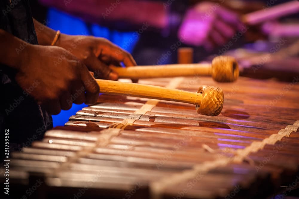 Balafon Melodic Percussion Instrument